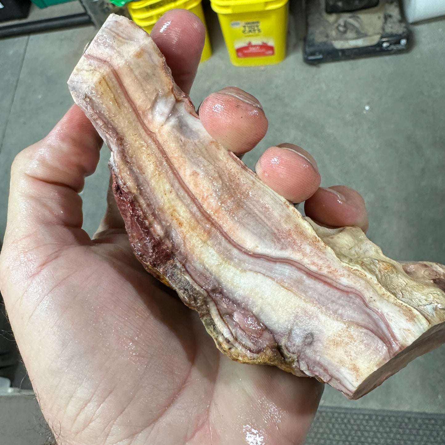 WINDY MOUNTAIN AGATE Faced Rough - 1.01 Pounds