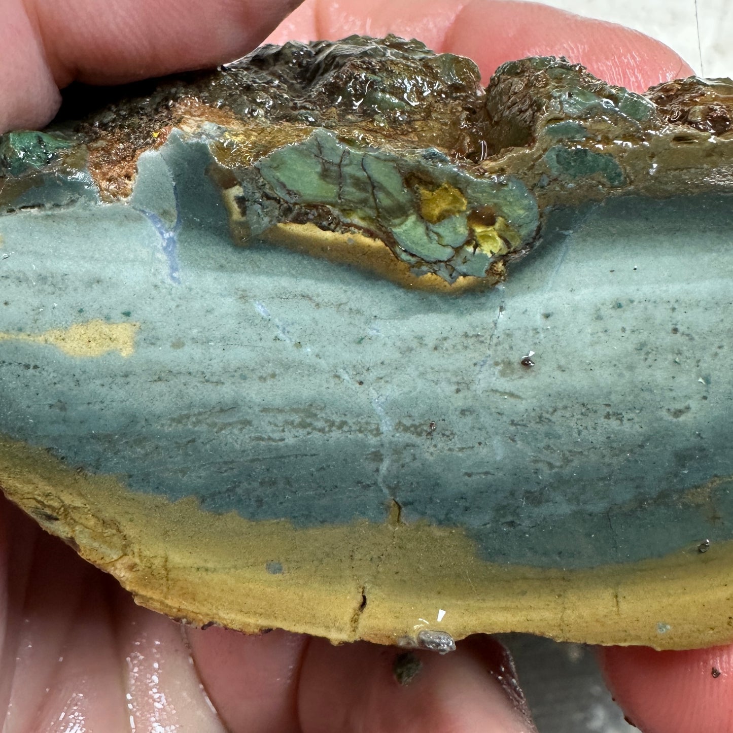 ECHO RIDGE JASPER Rough - 0.69 Pounds