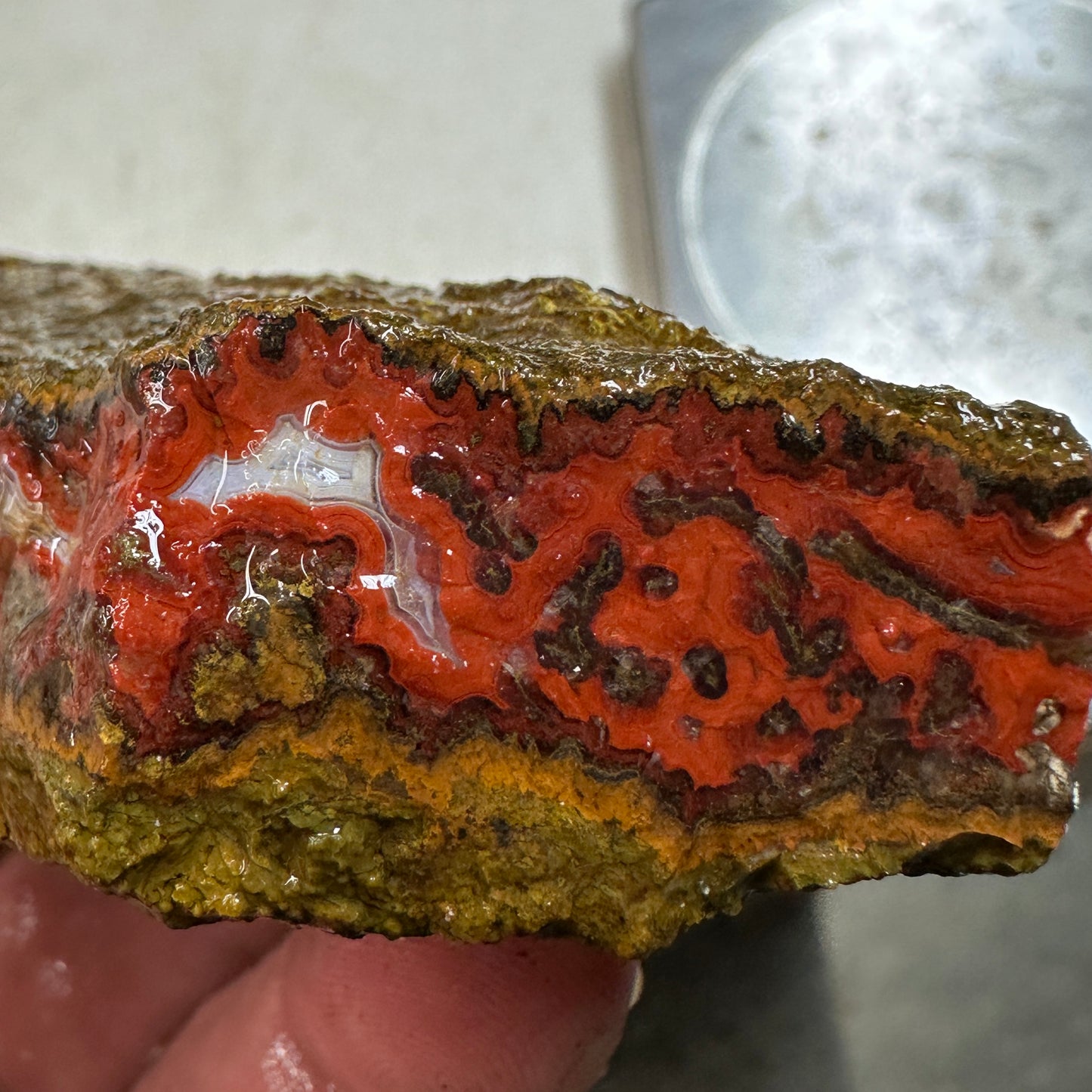 MOROCCAN SEAM AGATE Rough - 0.48 Pounds