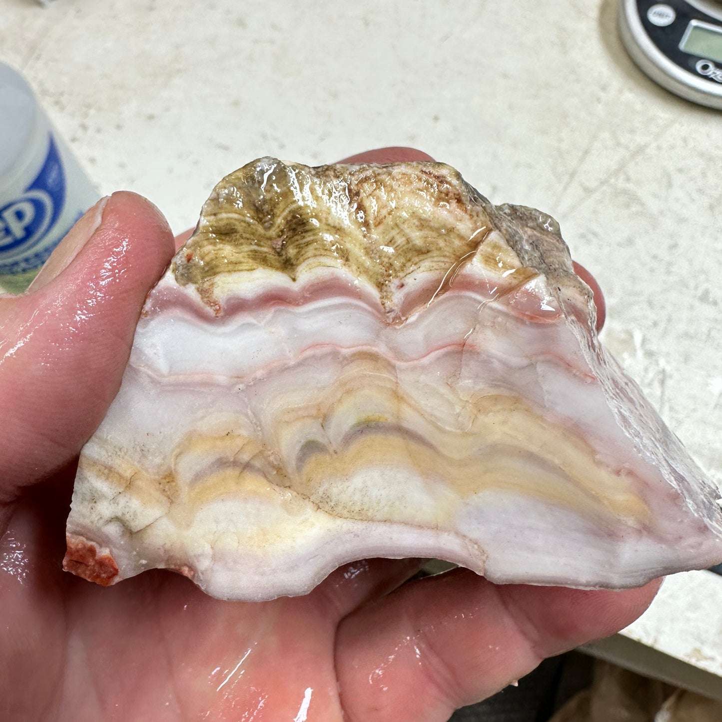 WINDY MOUNTAIN AGATE Rough - 0.71 Pounds