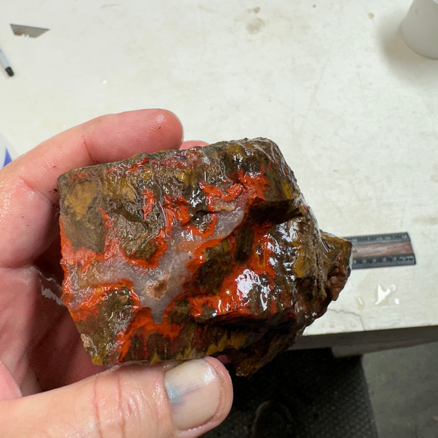 MOROCCAN SEAM AGATE Faced Rough - 1.32 Pounds