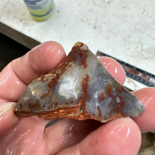 CAREY PLUME AGATE Faced Rough - 1.81oz