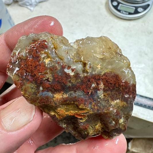 CAREY PLUME AGATE Rough - 3.50oz