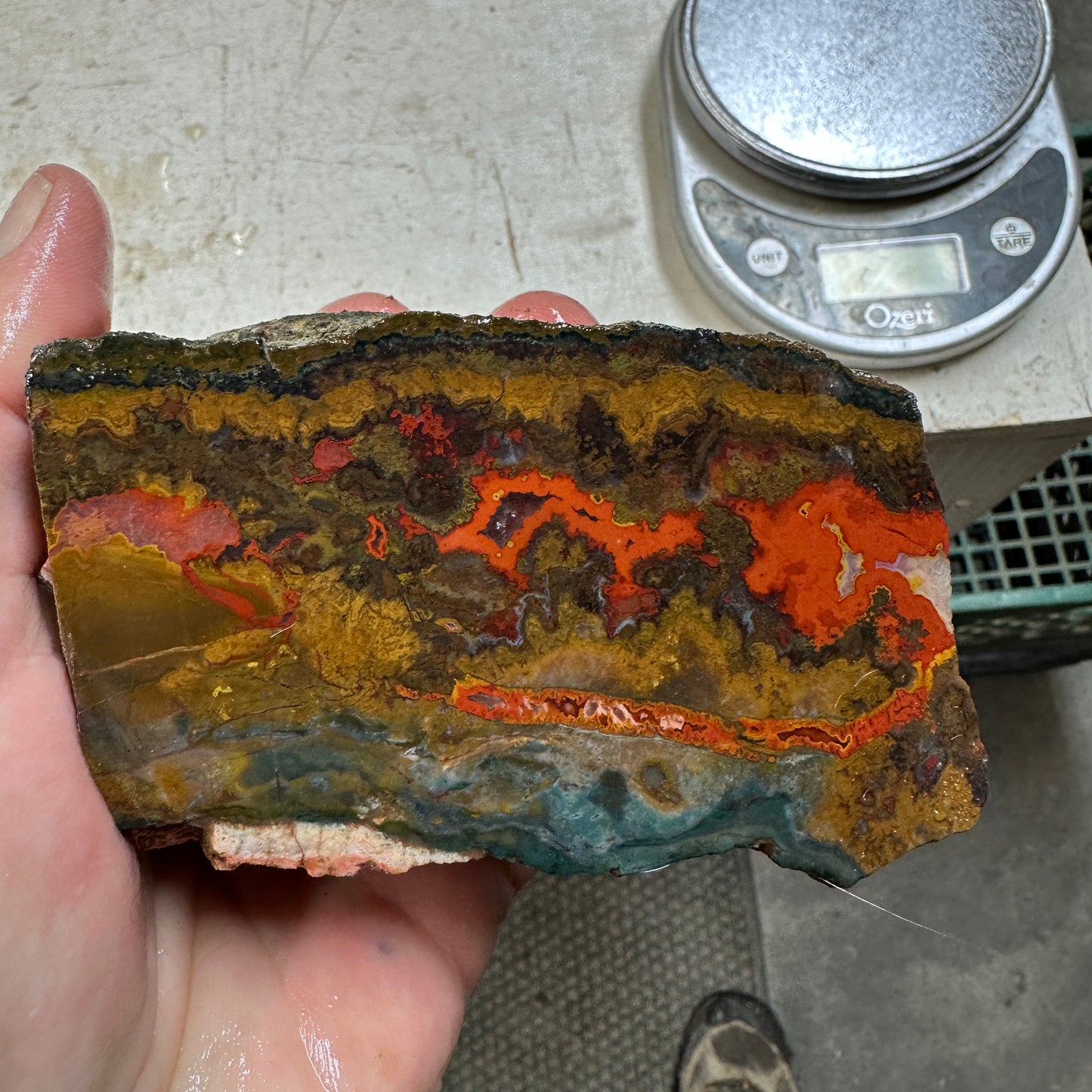 MOROCCAN SEAM AGATE Rough - 1.75 pounds