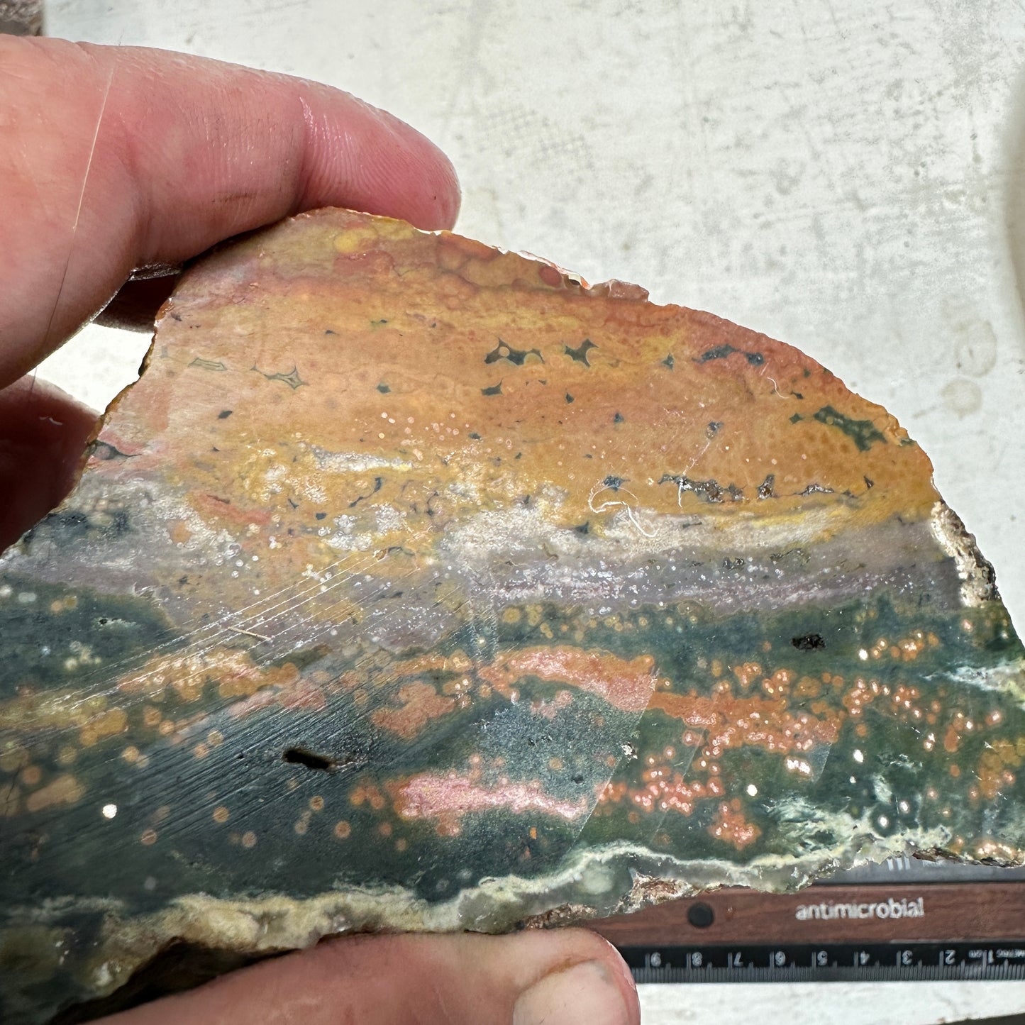 OCEAN JASPER Faced Rough - 1.63 Pounds