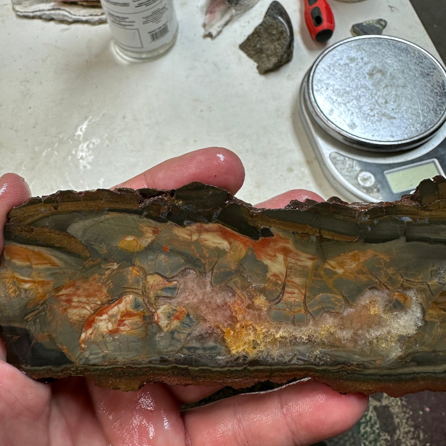 DRY CREEK JASPER Slab - 204 grams