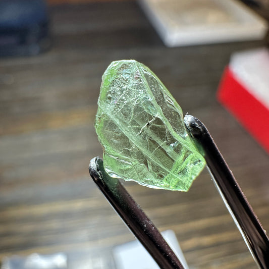 5.34ct GREEN DRAGON GARNET Facet Rough
