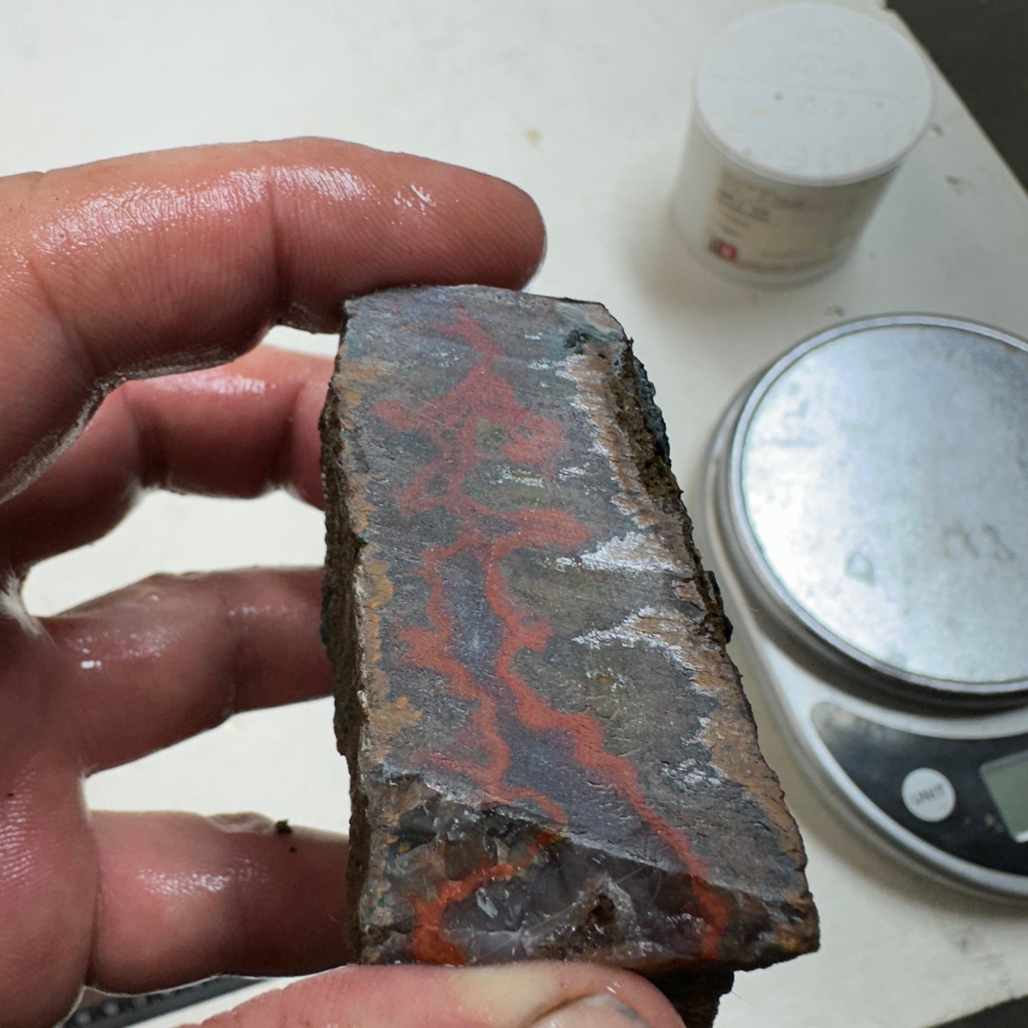 MOROCCAN SEAM AGATE Rough - 9.7ozs