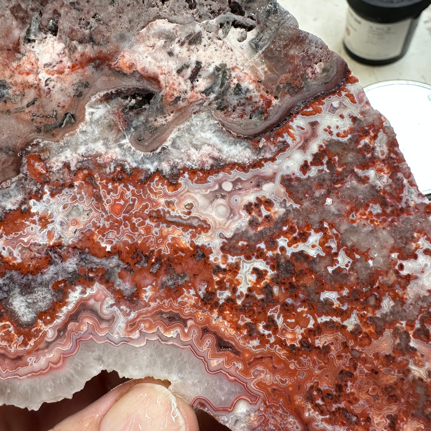 ROSETTA LACE AGATE Slab - 288 grams