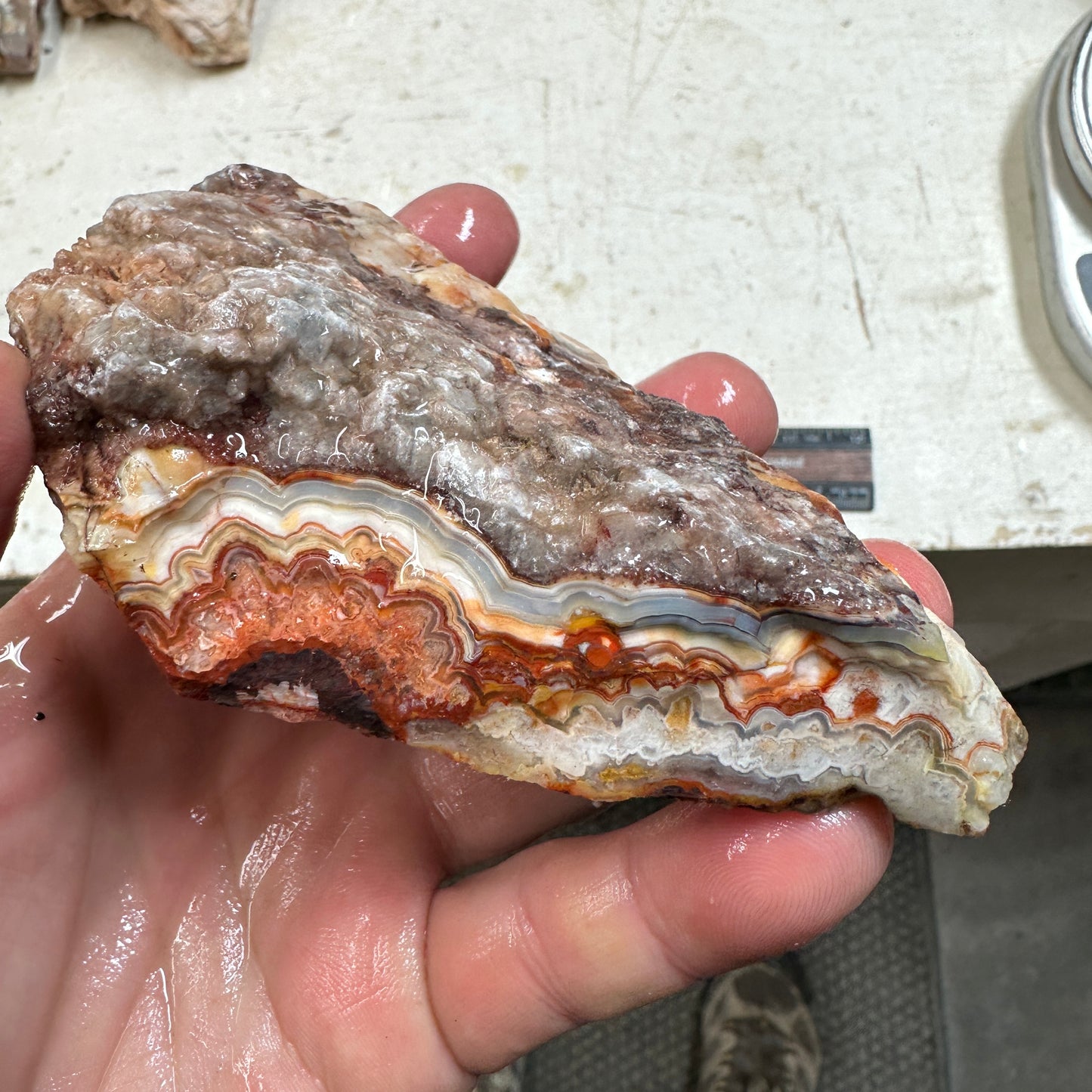 CRAZY LACE AGATE Rough - 0.95 pounds