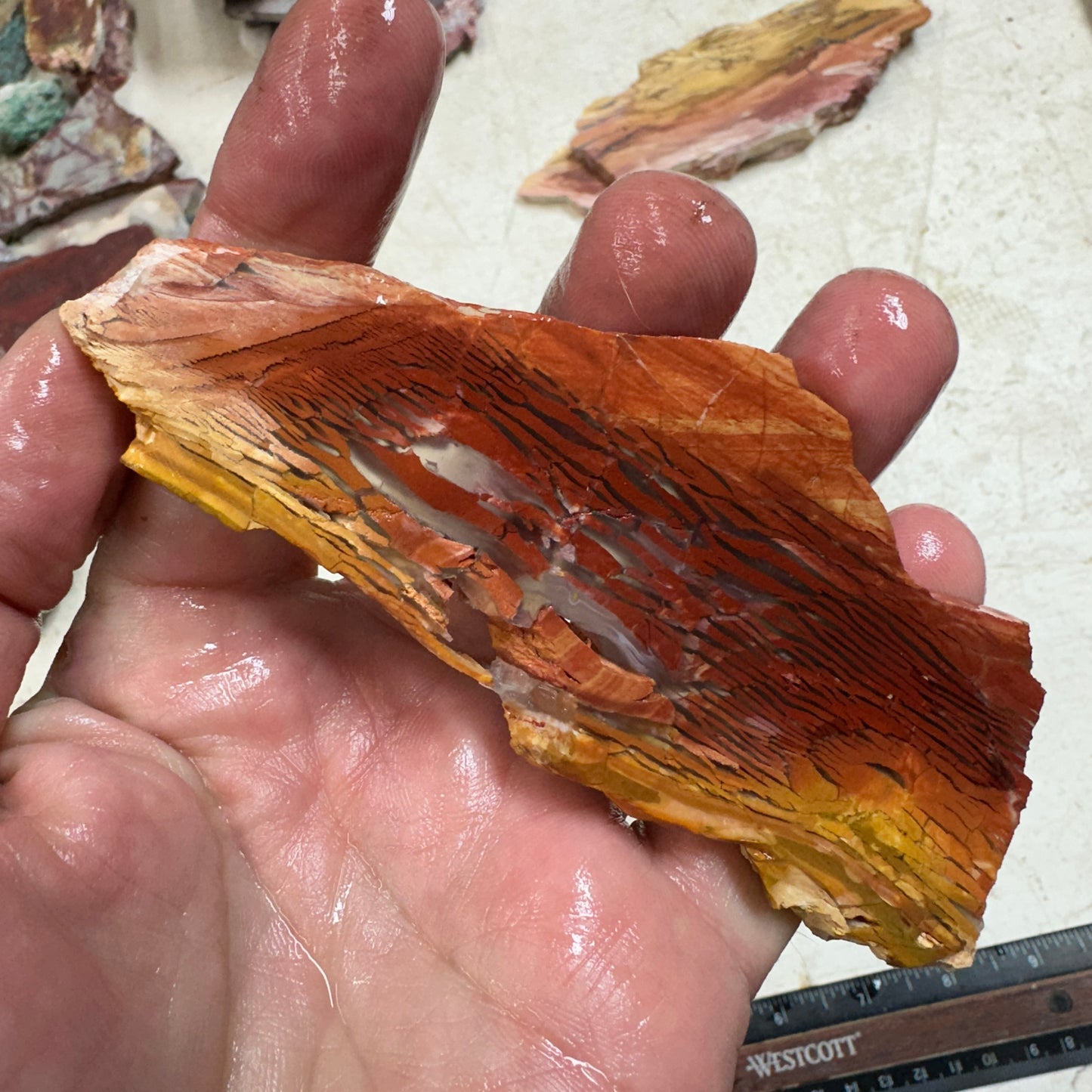 SUNSET HOWARDITE Slab - 56 grams