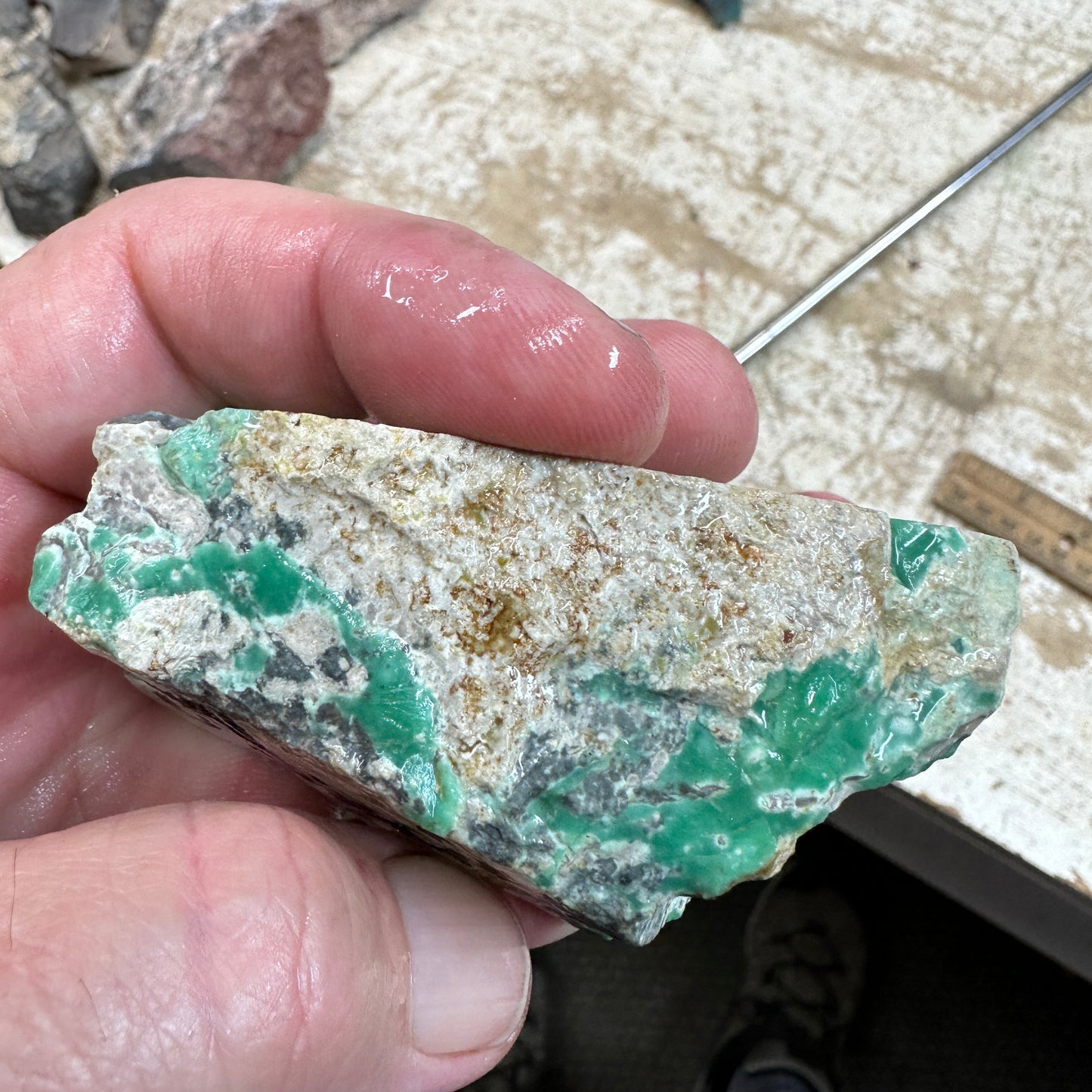 AUSTRALIAN VARISCITE Faced Rough - 229 grams