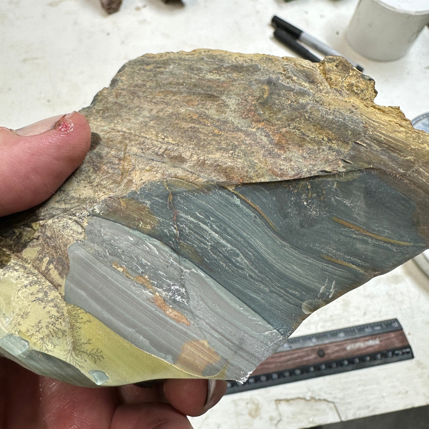 BLUE MOUNTAIN JASPER Rough - 2.14 Pounds