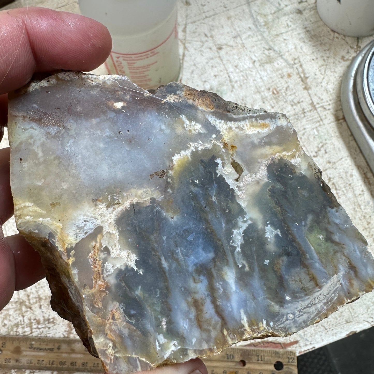 GRAVEYARD POINT PLUME AGATE Faced Rough - 1.78 Pounds