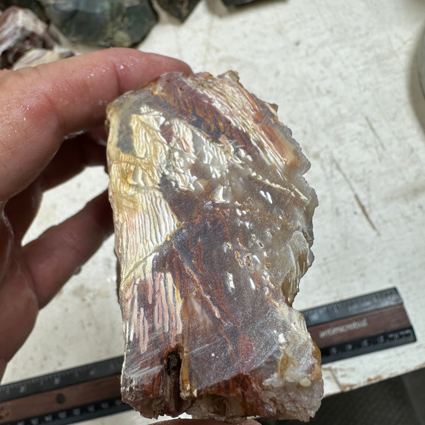 Sunset HOWARDITE Faced Rough - 0.71 pounds