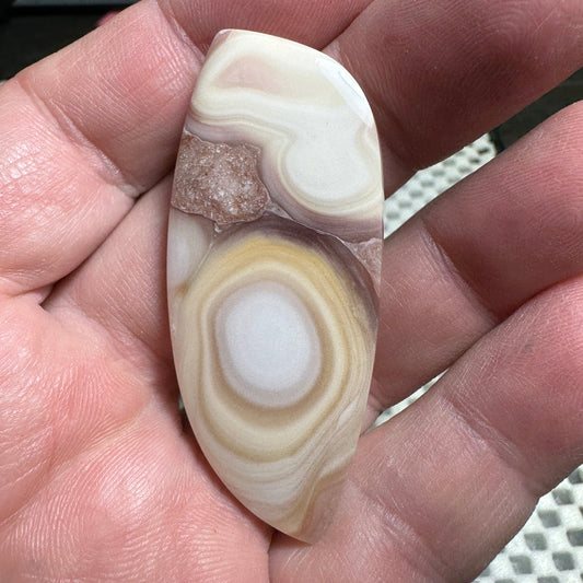 WINDY MOUNTAIN JASPER cabochon