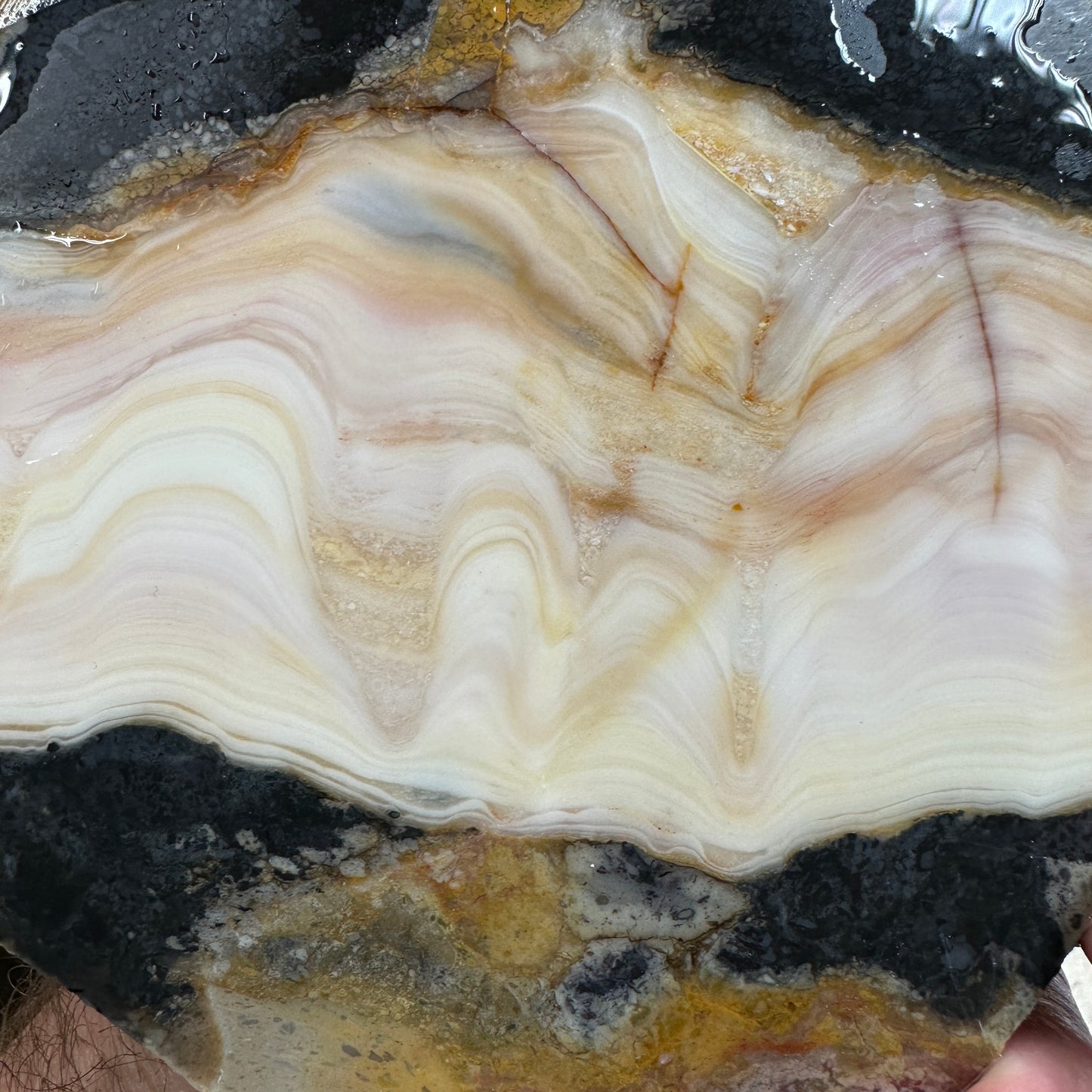 WINDY MOUNTAIN JASPER Slab - 242 grams