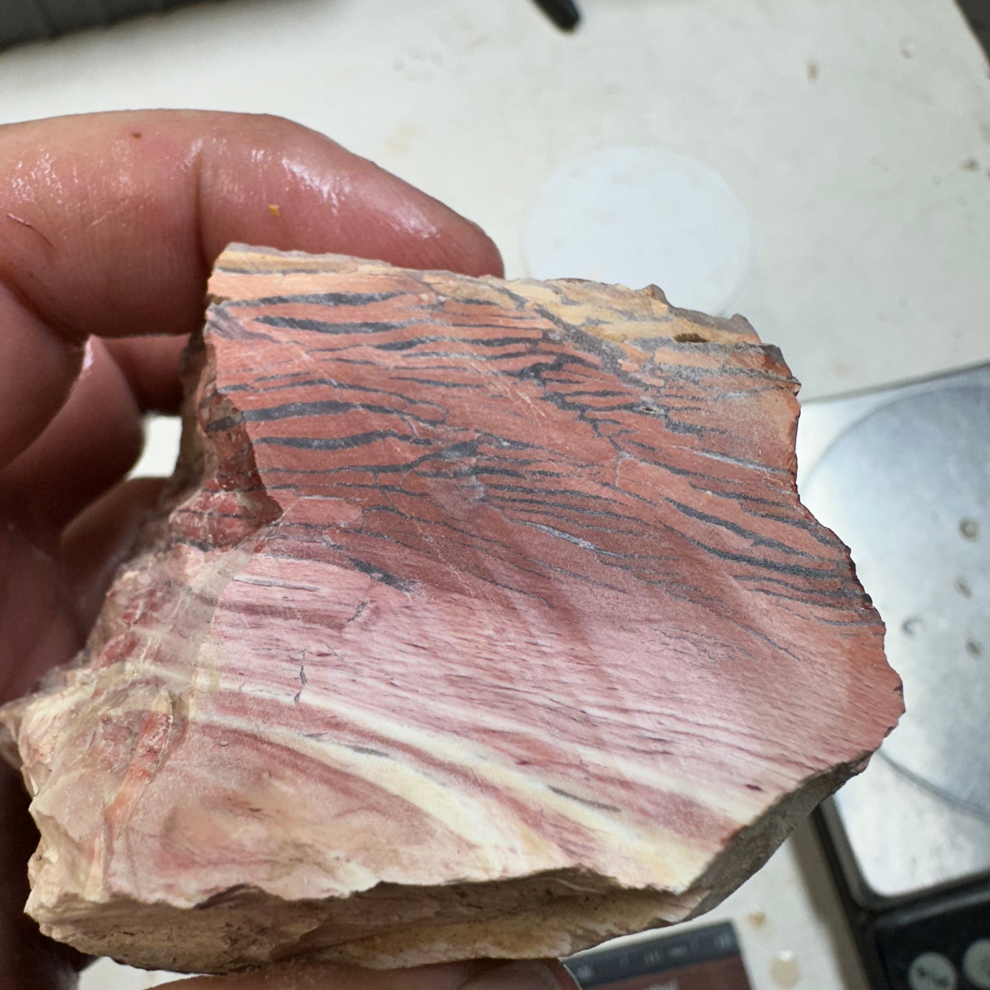 Red HOWARDITE Faced Rough - 14.7ozs