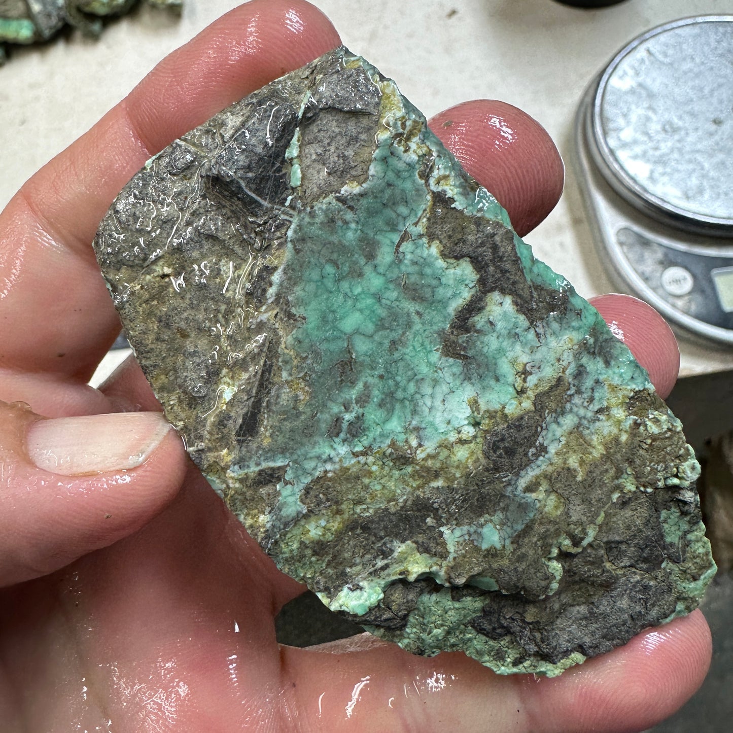BROKEN ARROW VARISCITE Trimmed Rough Slab - 83 grams