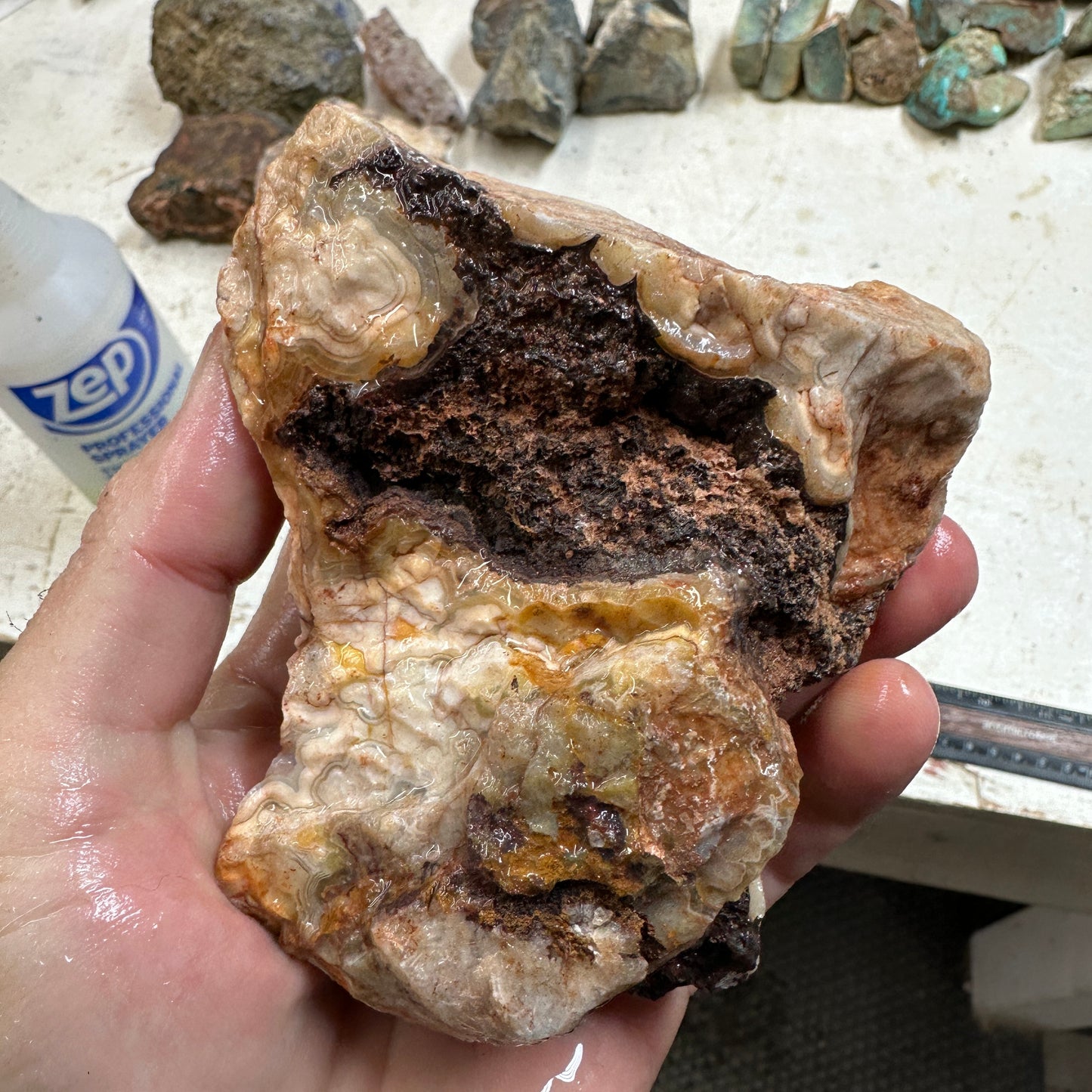 CRAZY LACE AGATE Rough - 1.56 pounds