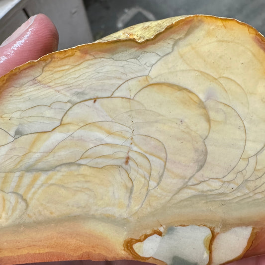 MISTY MOUNTAIN JASPER Faced Rough - 1.54 Pounds