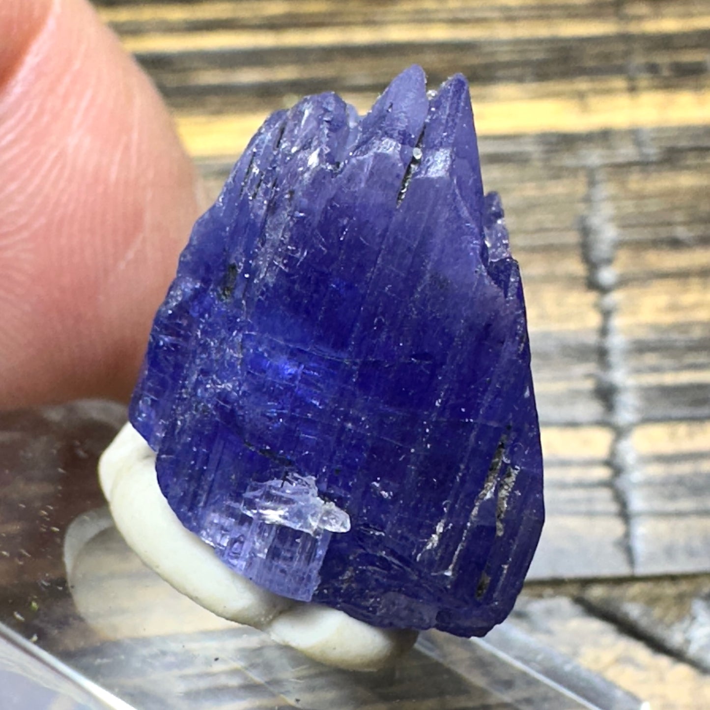 TANZANITE Crystal Display Mineral Specimen