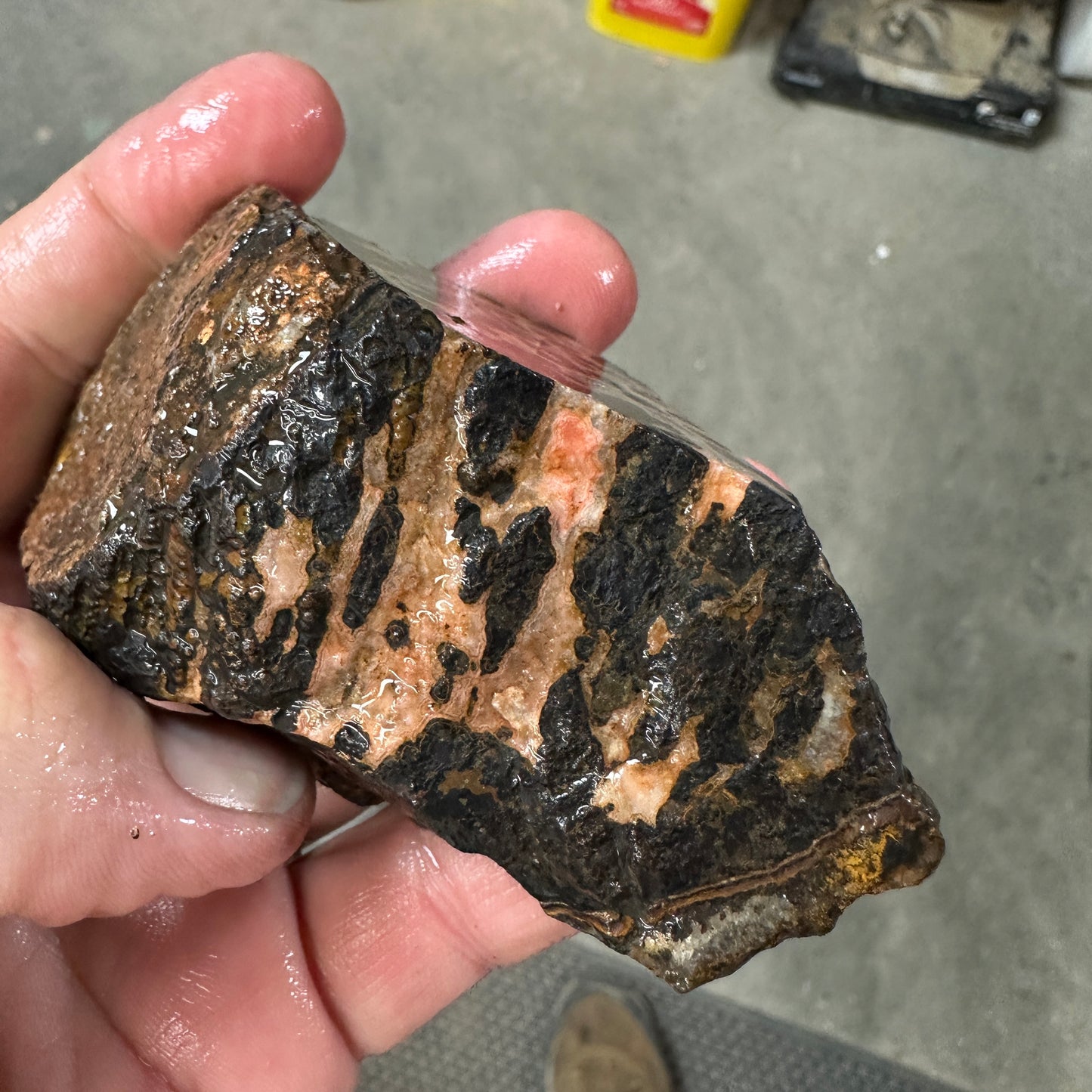 MOROCCAN SEAM AGATE Faced Rough - 0.94 Pounds