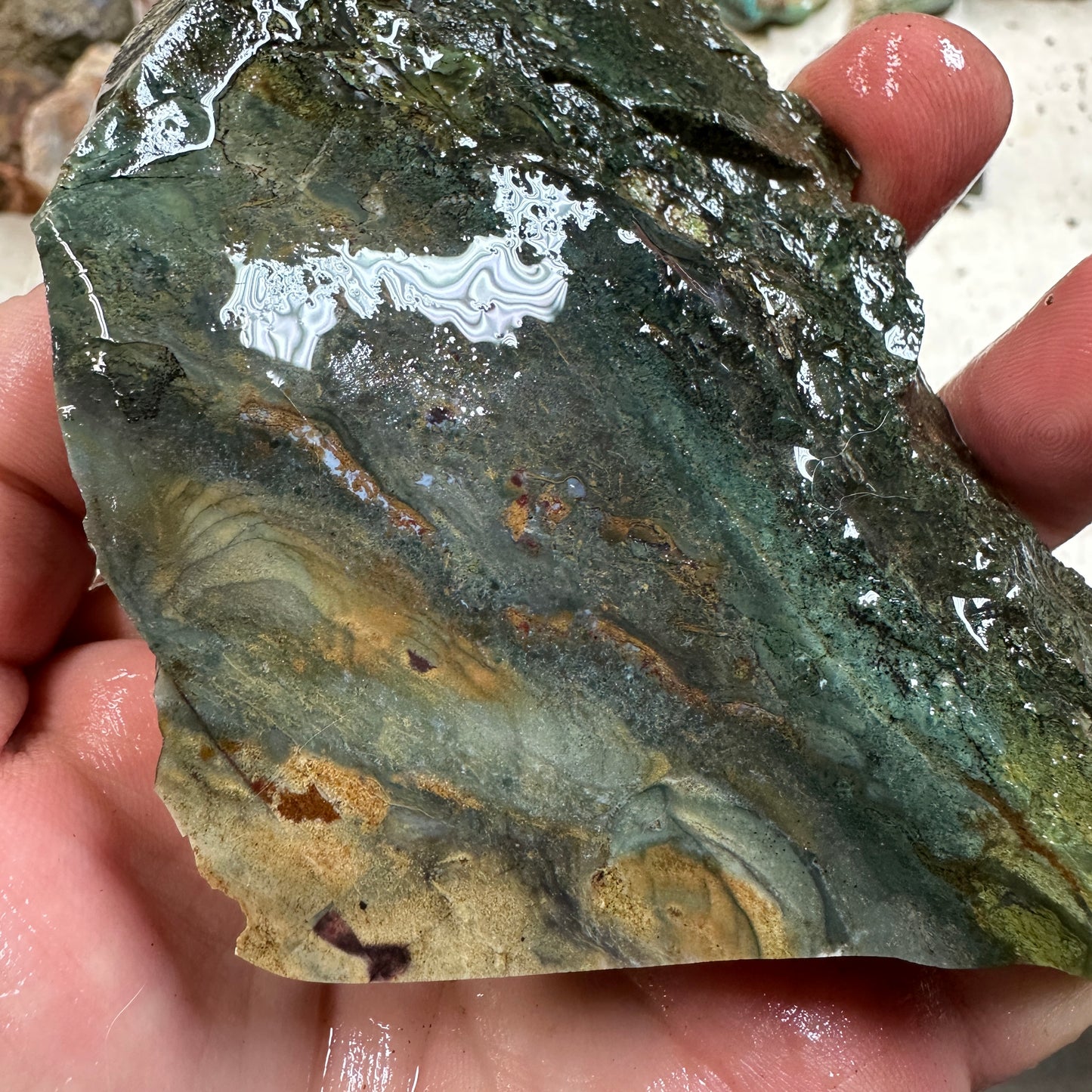 Orbed ECHO RIDGE JASPER Rough - 0.84 Pounds