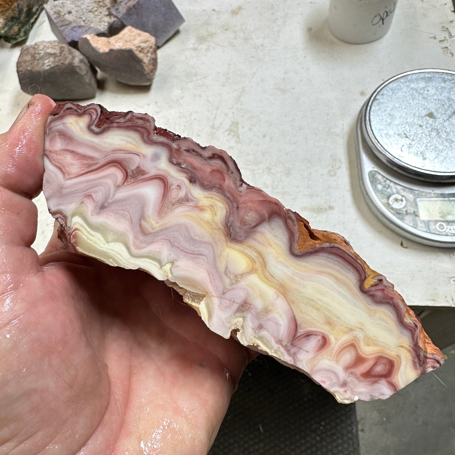 WINDY MOUNTAIN AGATE Faced Rough - 1.72 Pounds