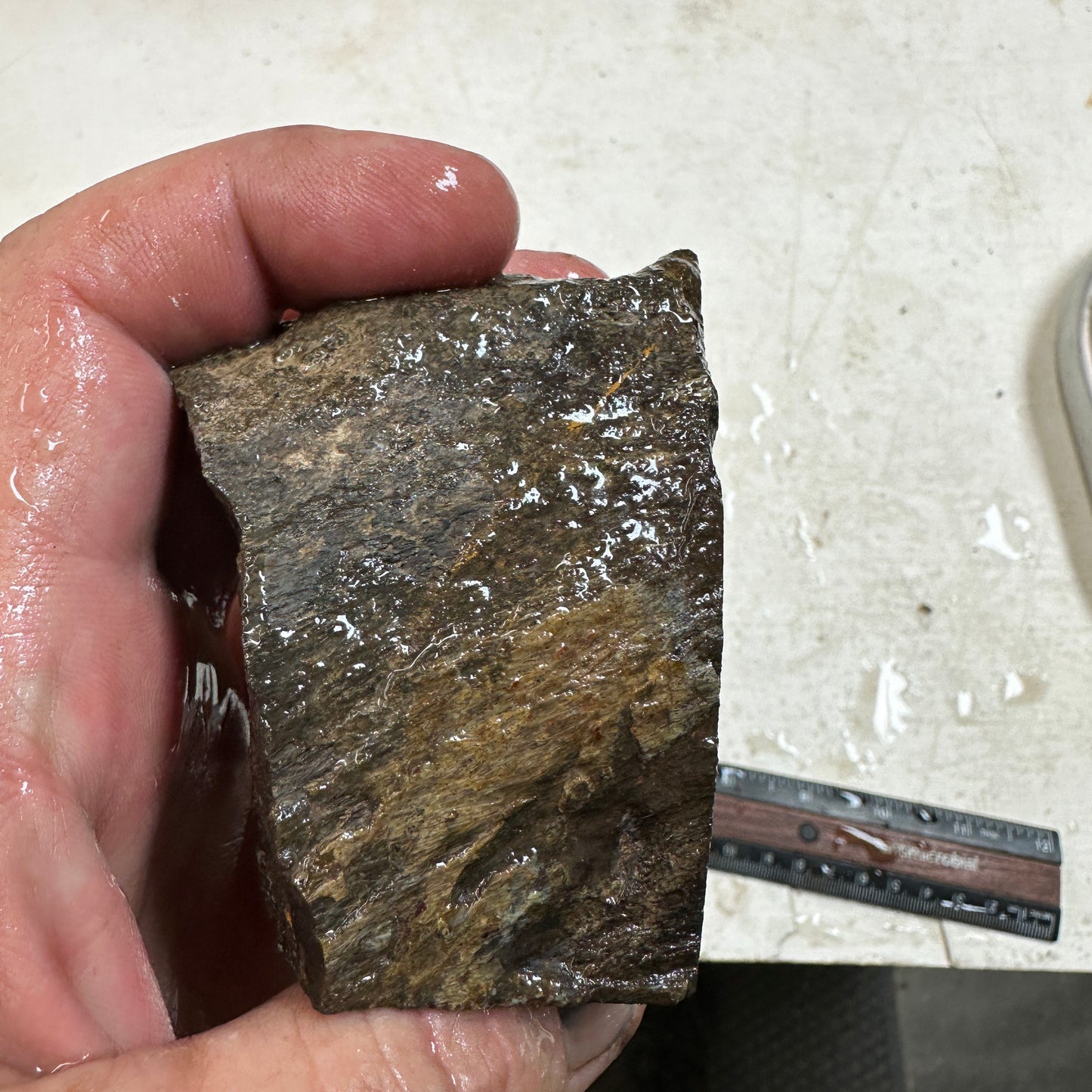 GEMBONE Dinosaur Bone Faced Rough - 0.93 Pounds