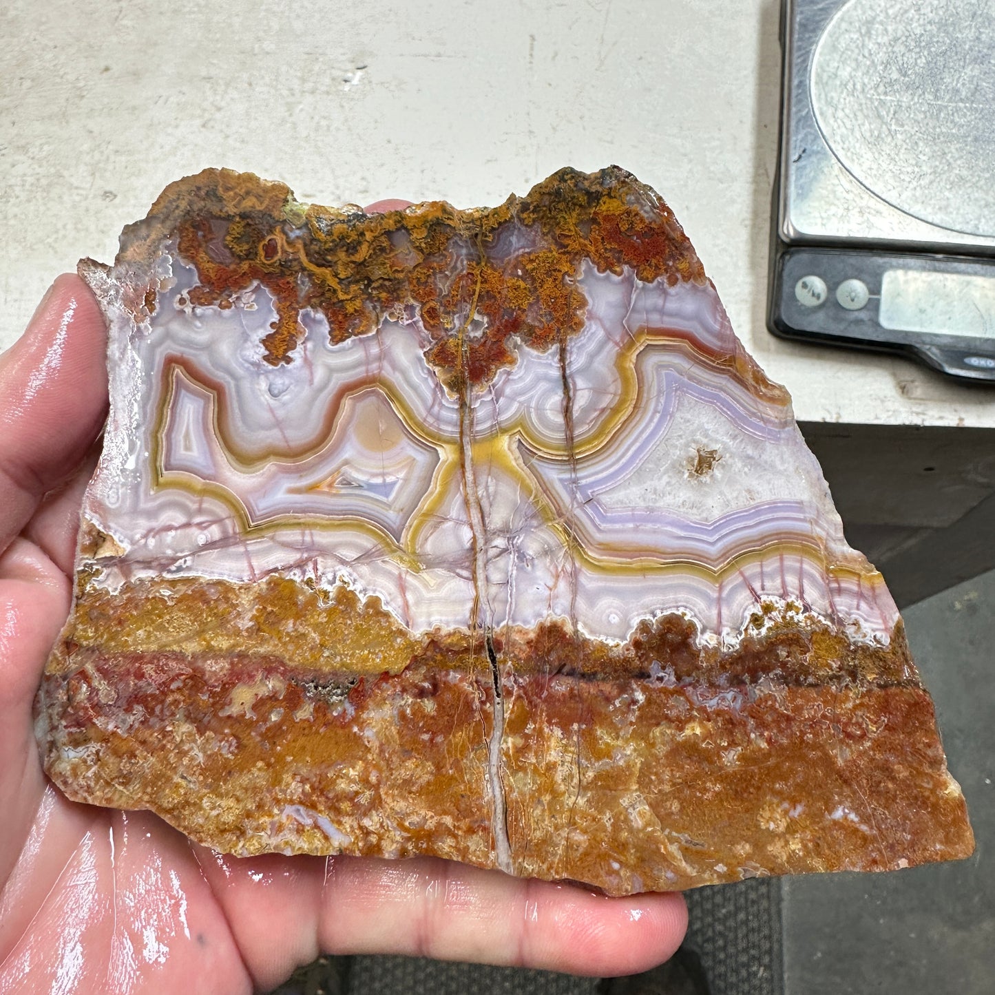 AGUA NUEVA AGATE Slab - 265 grams