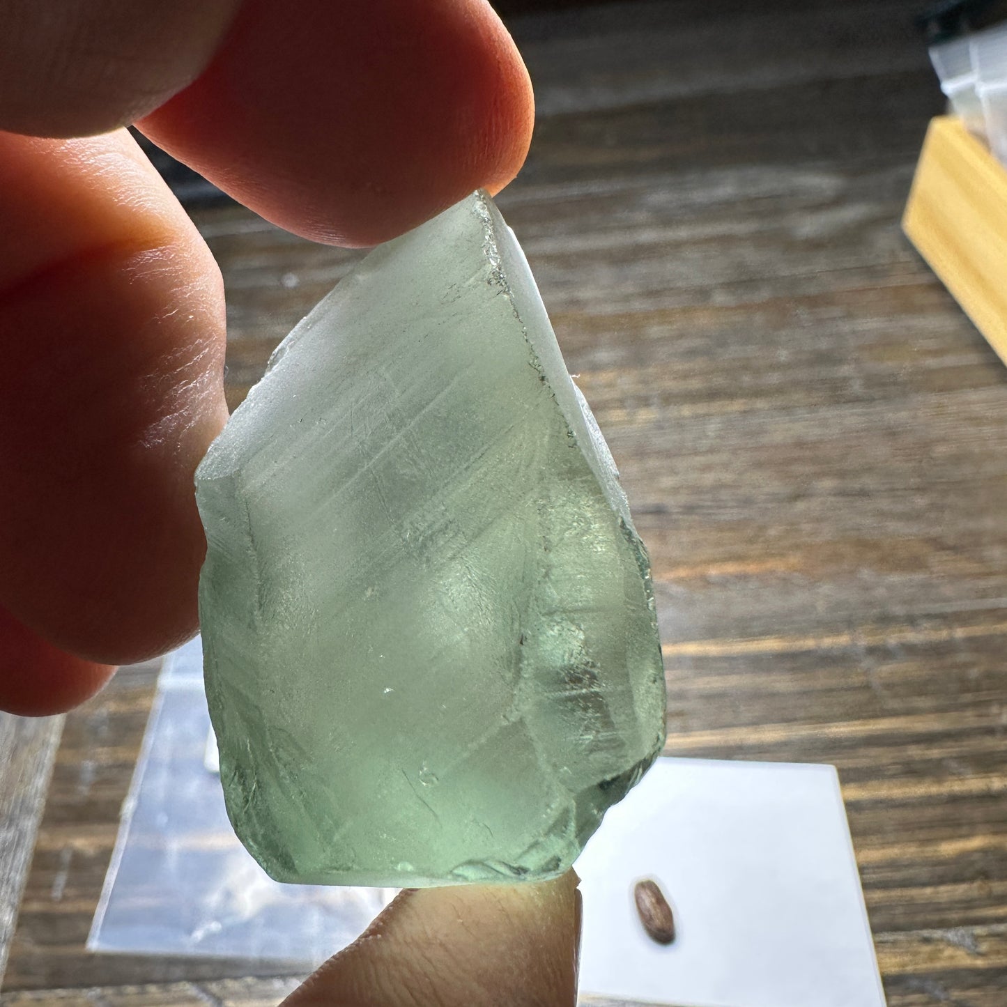 233.3ct PRASIOLITE QUARTZ Facet Rough