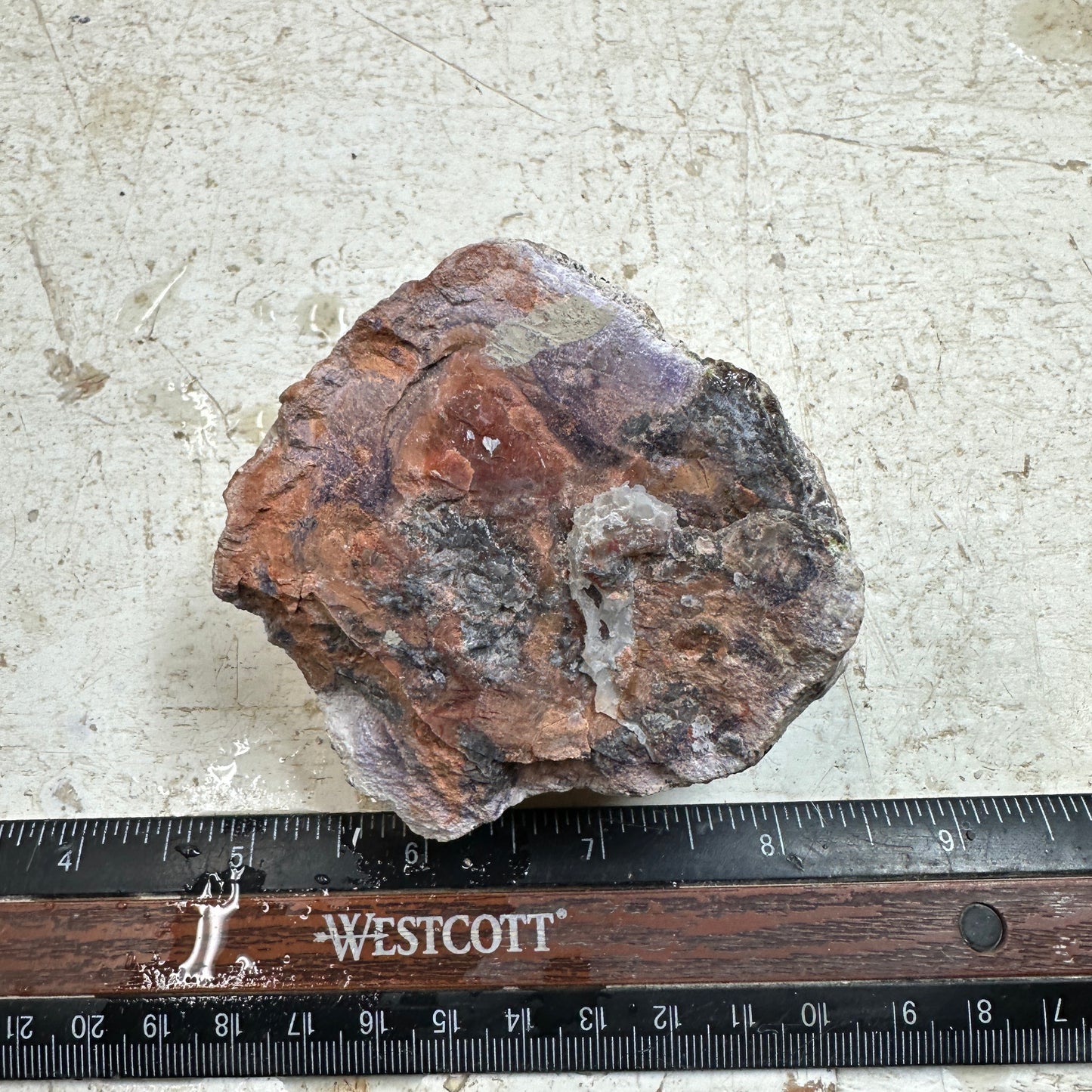 TIFFANY STONE Rough - 0.67 Pounds