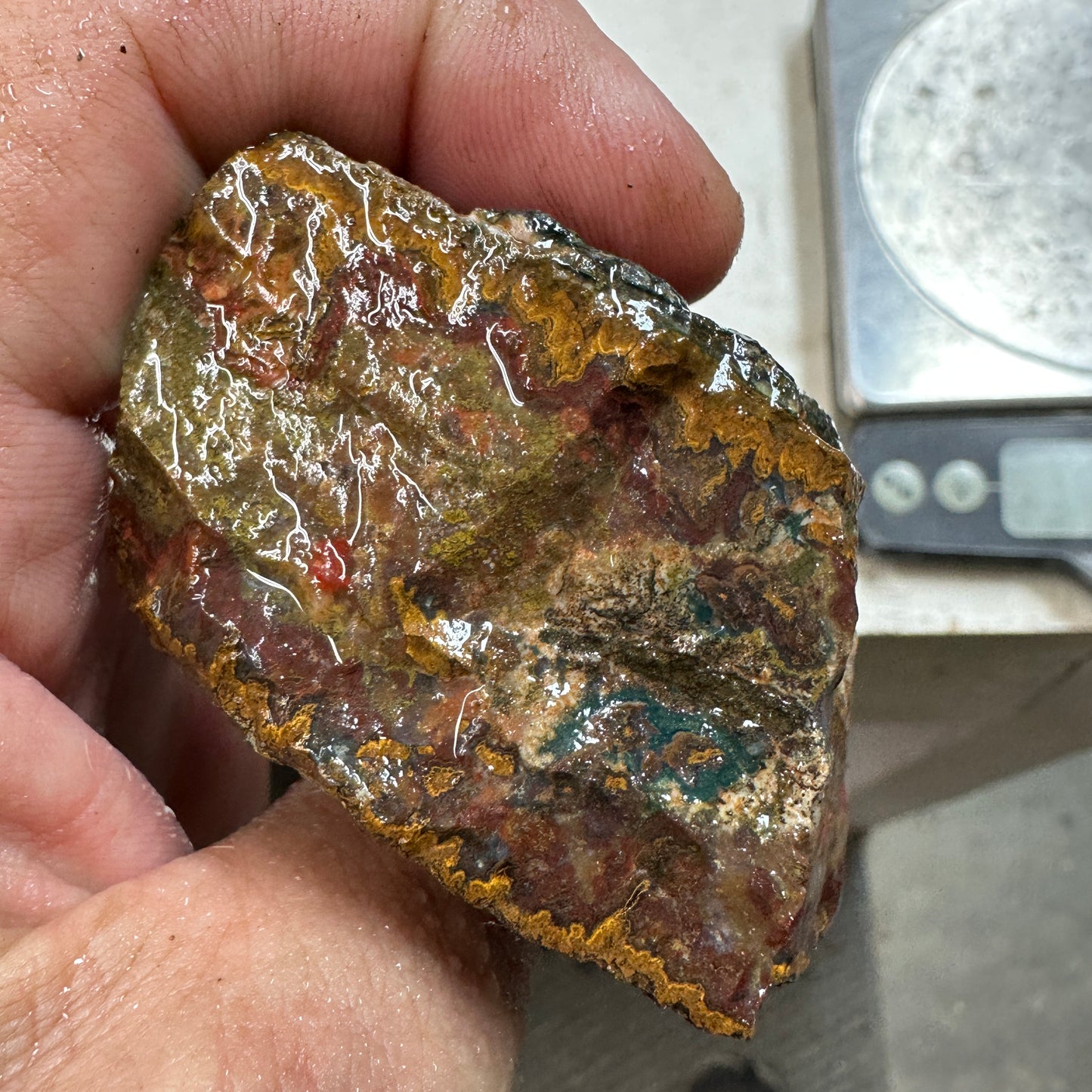 MOROCCAN SEAM AGATE Rough - 0.77 Pounds