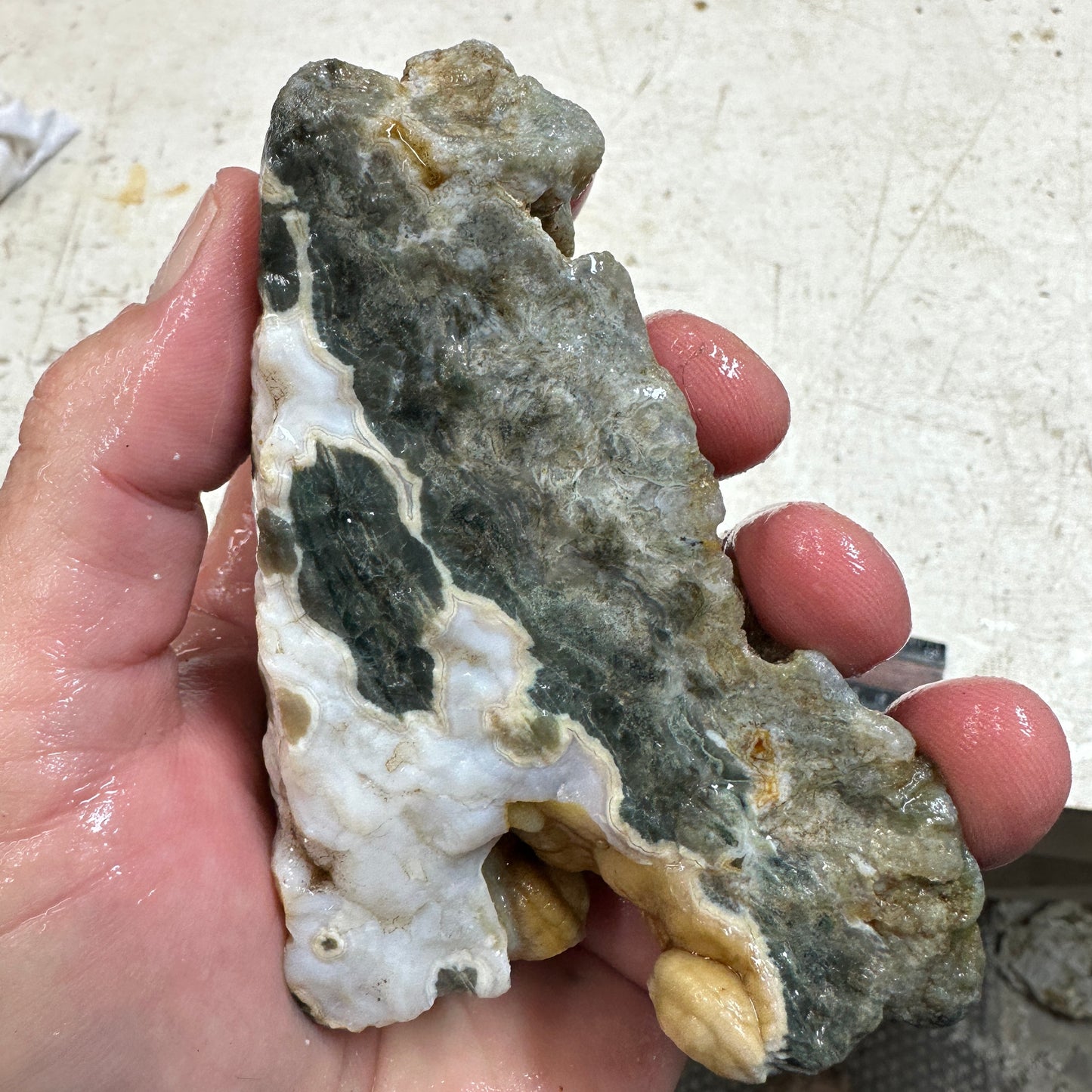 OCEAN JASPER Rough - 0.98 Pounds
