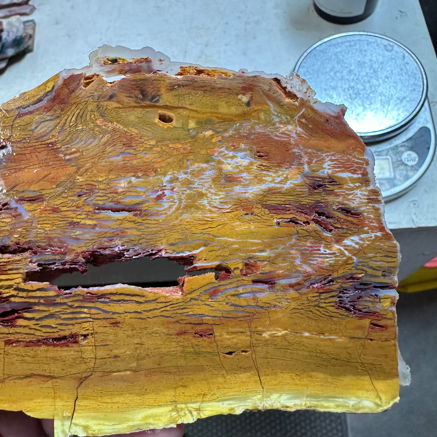 HOWARDITE Slab - 210 grams