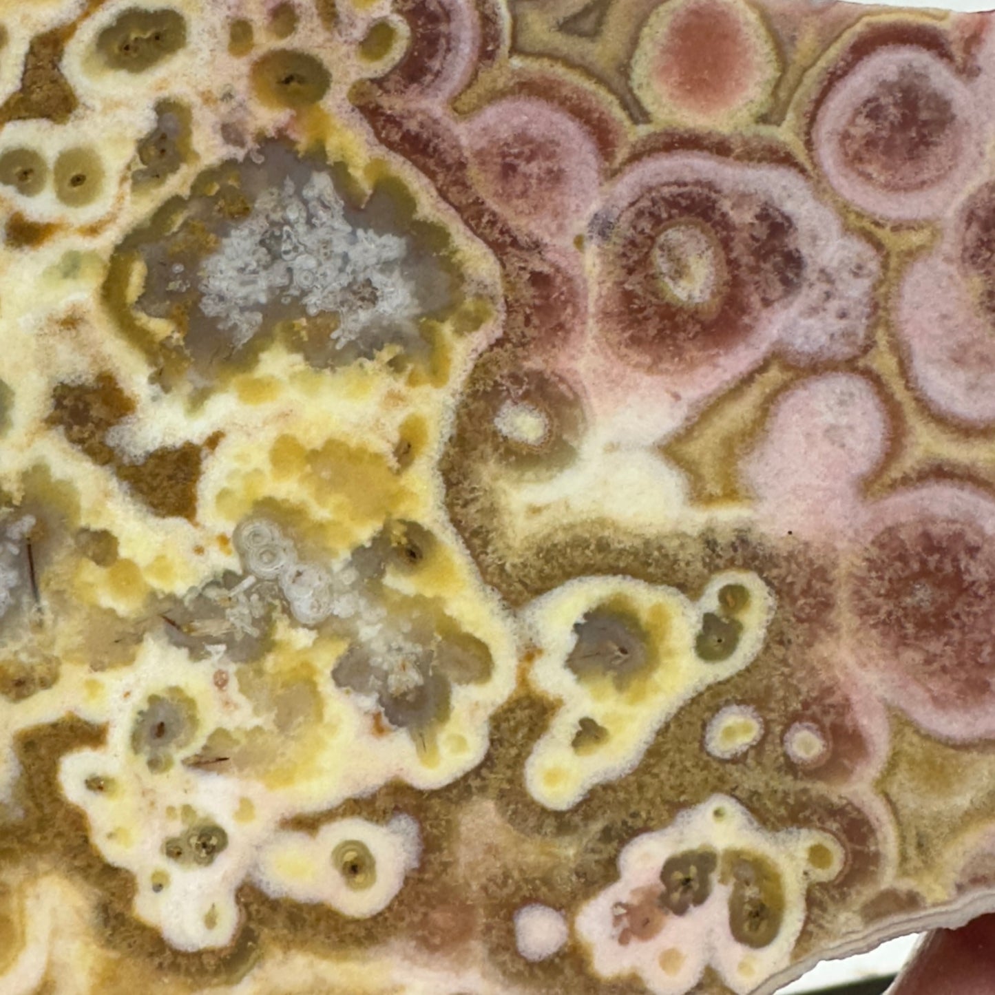 CRAZY LACE AGATE Slab - 175 grams
