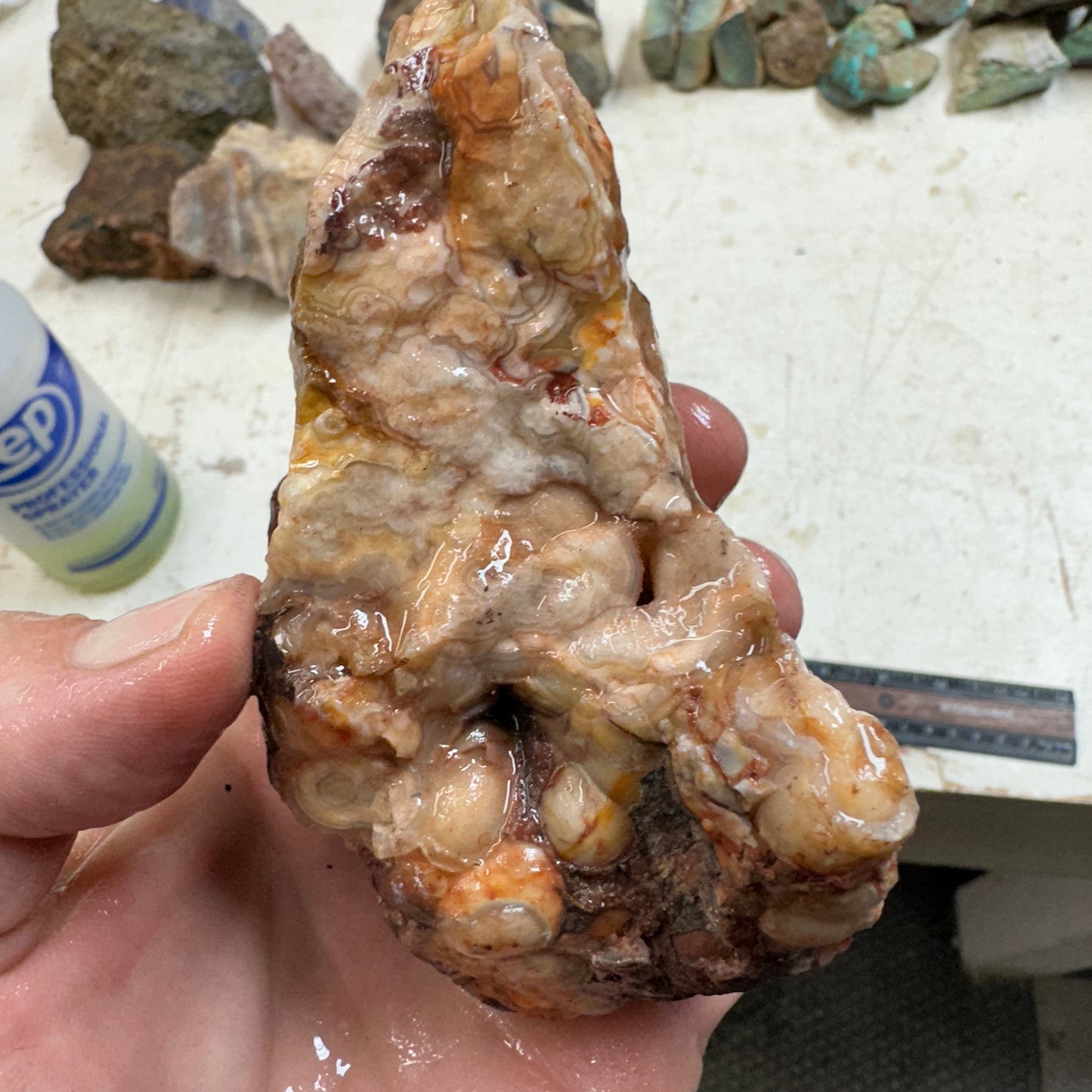 CRAZY LACE AGATE Rough - 1.56 pounds