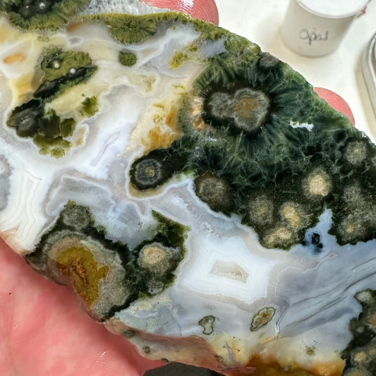 OCEAN JASPER Slab - 127 grams