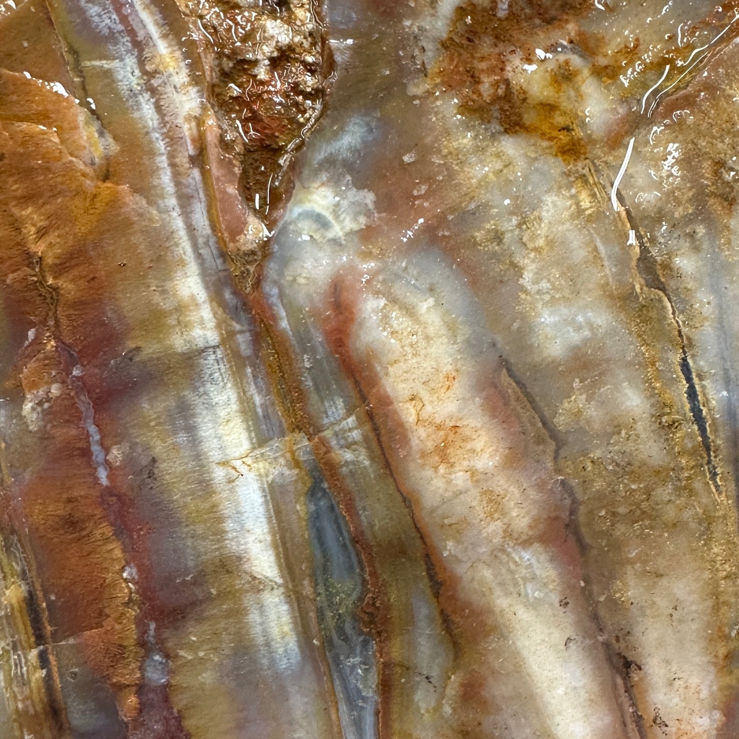 SUMATRAN FLAME SAGENITE AGATE Rough - 1.49 pounds