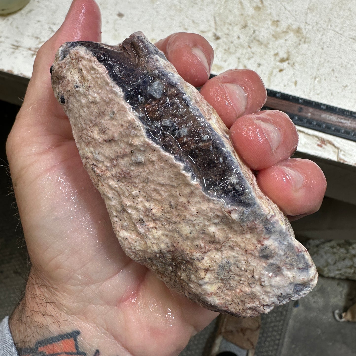 TIFFANY STONE Rough - 1.21 Pounds