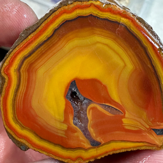 FIGHTING BLOOD AGATE Rough - 0.29 Pounds