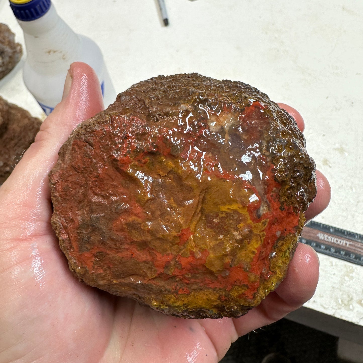 MOROCCAN SEAM AGATE Rough - 1.63 Pounds