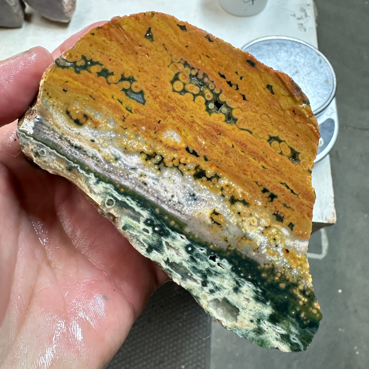 OCEAN JASPER Faced Rough - 1.63 Pounds