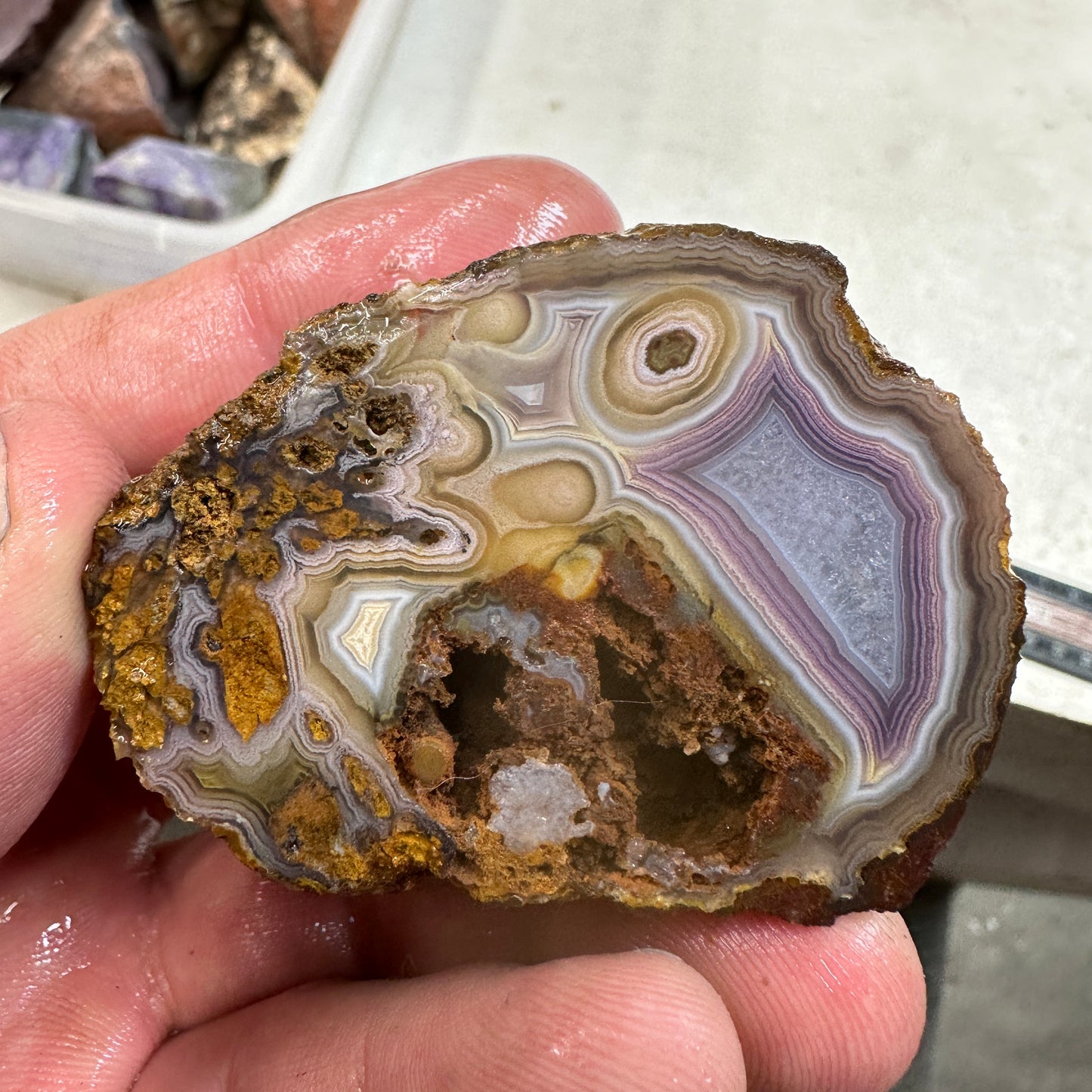 COYOMITO AGATE Rough - 0.21 Pounds