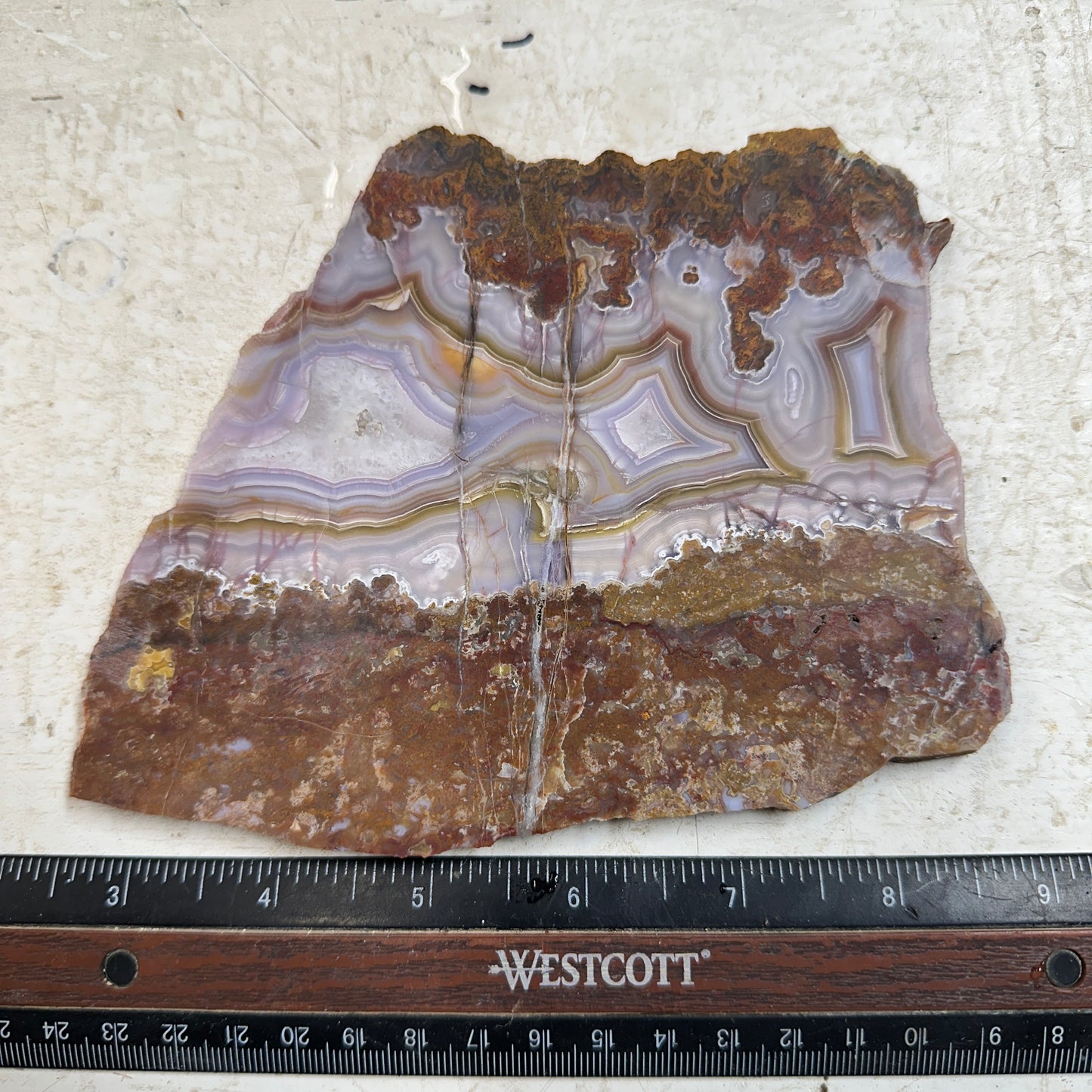 AGUA NUEVA AGATE Slab - 265 grams