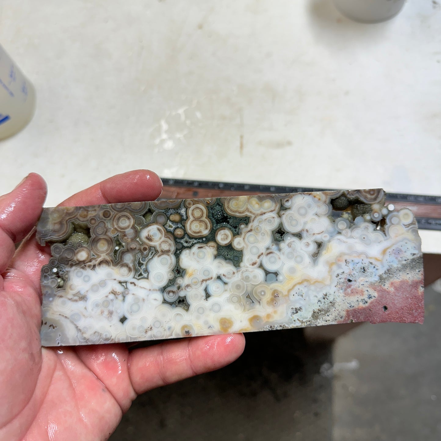 OCEAN JASPER Slab - 204 grams