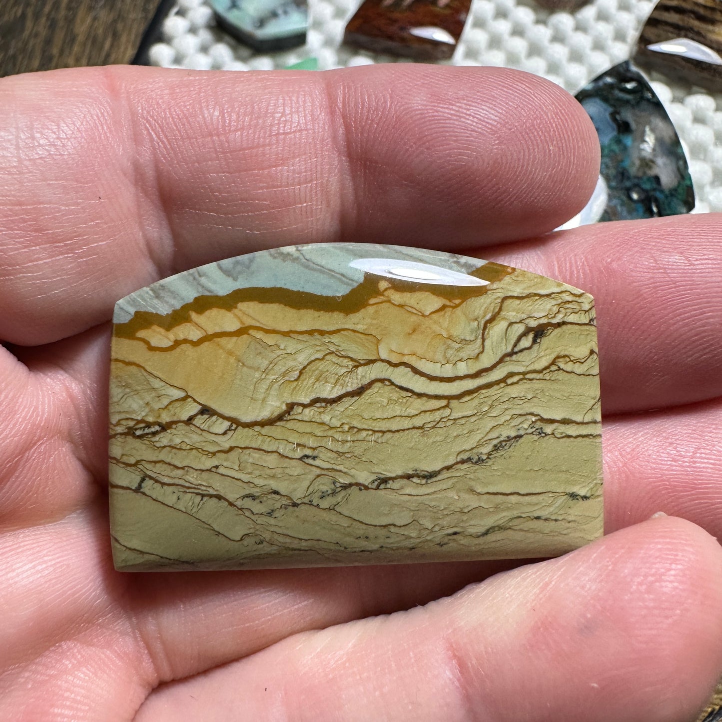 BIG HORN JASPER cabochon