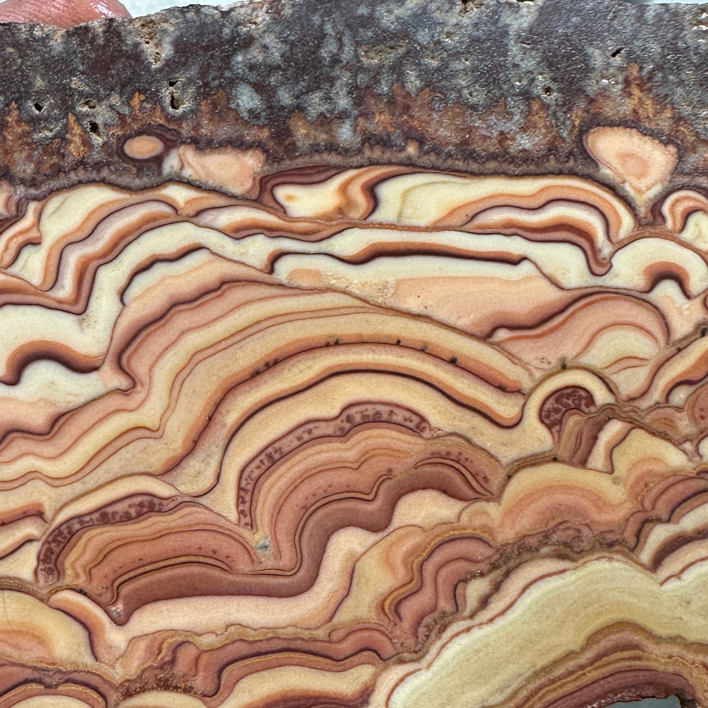 ROLLING HILLS DOLOMITE Slab - 276 grams