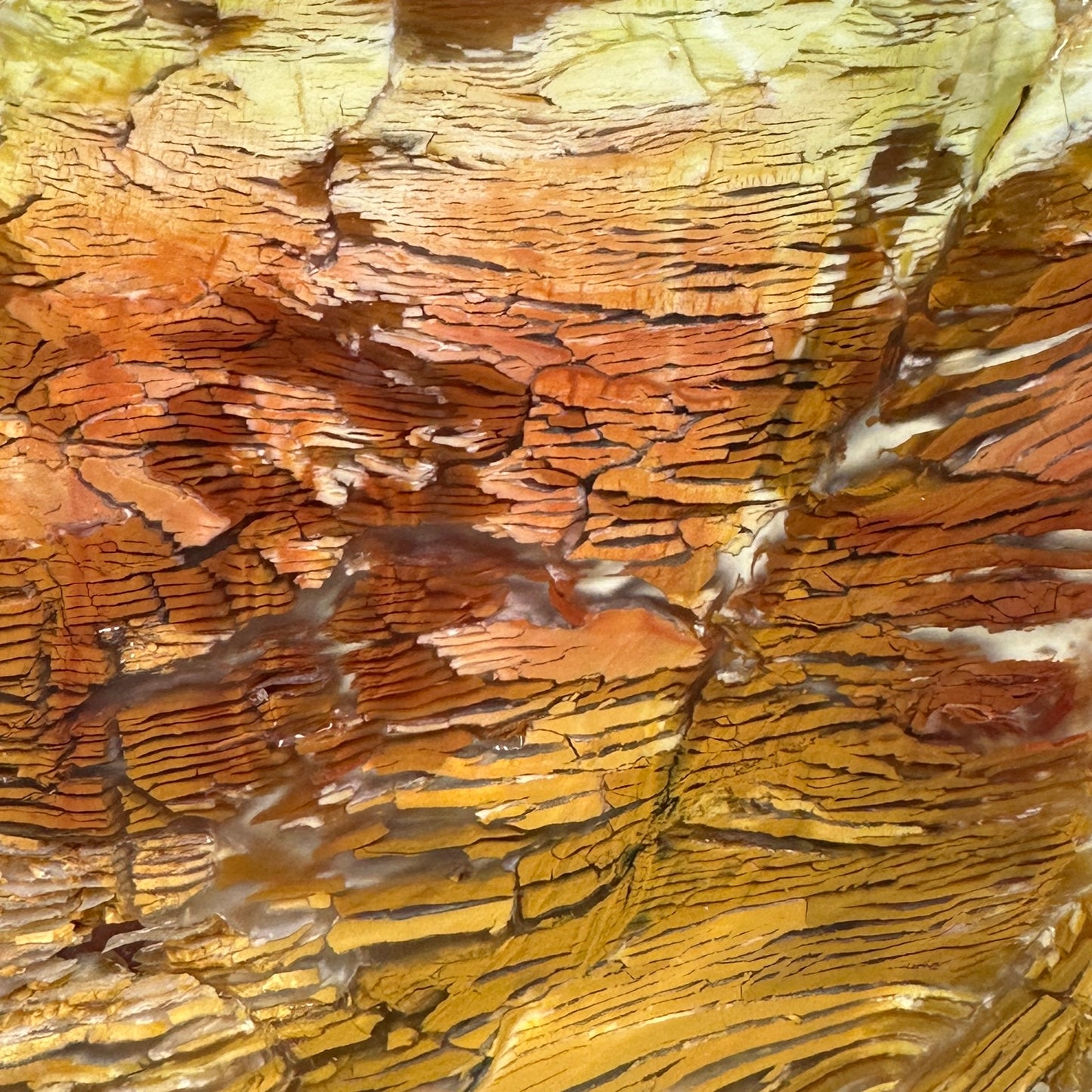 SUNSET HOWARDITE Slab - 124 grams